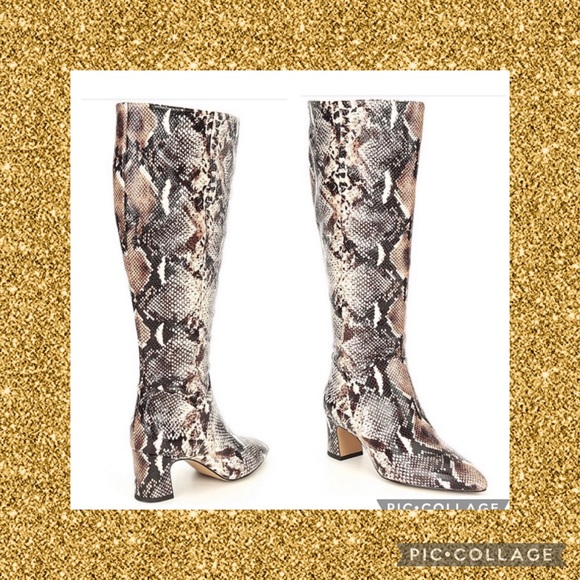 Alex Marie Shoes - 🆕Alex Marie Boots.  NWT   000BJ